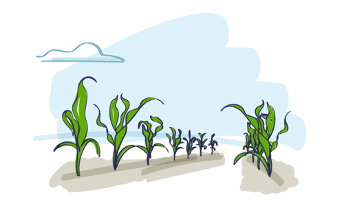 BASF_Retail-Forward_Hello_Image_Animation_03
